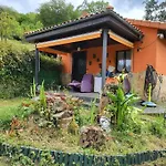 Disfruta De La Naturaleza En De Playa *