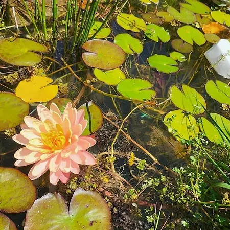 Disfruta De La Naturaleza En De Playa Feriehus Castiello de la Marina