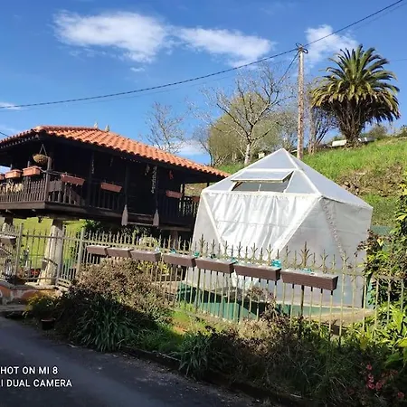 Disfruta De La Naturaleza En De Playa Feriehus *