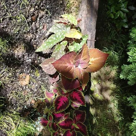 Feriehus Disfruta De La Naturaleza En De Playa Castiello de la Marina