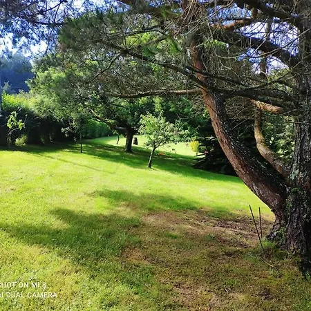 Disfruta De La Naturaleza En De Playa Feriehus *