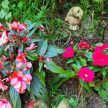 Feriehus Disfruta De La Naturaleza En De Playa Castiello de la Marina