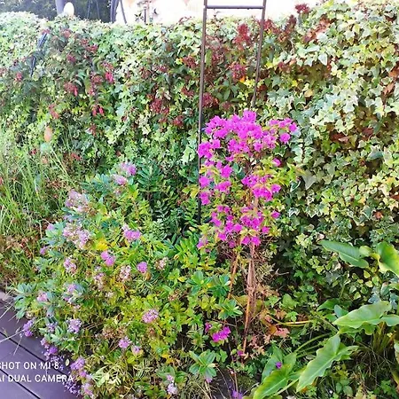 Disfruta De La Naturaleza En De Playa Feriehus Castiello de la Marina