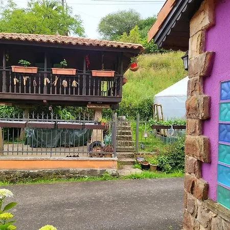 Disfruta De La Naturaleza En De Playa *