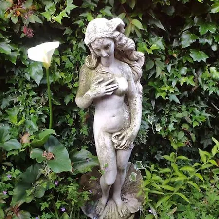 Feriehus Disfruta De La Naturaleza En De Playa *