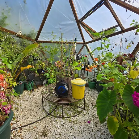 Disfruta De La Naturaleza En De Playa Feriehus