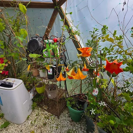 Disfruta De La Naturaleza En De Playa * Castiello de la Marina