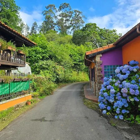 Feriehus Disfruta De La Naturaleza En De Playa