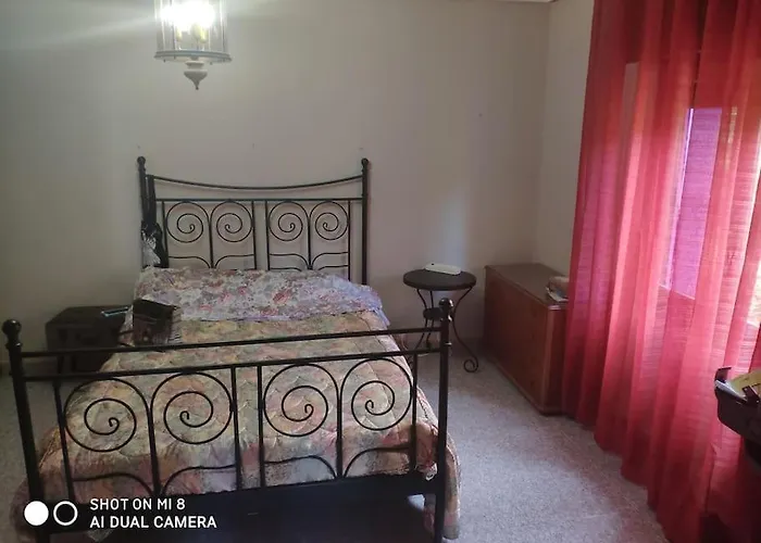 Disfruta De La Naturaleza En De Playa