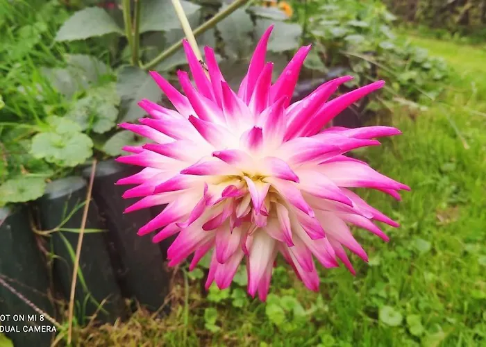 Disfruta De La Naturaleza En De Playa