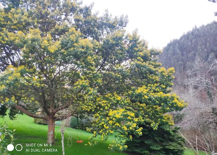 Disfruta De La Naturaleza En De Playa 펜션 *