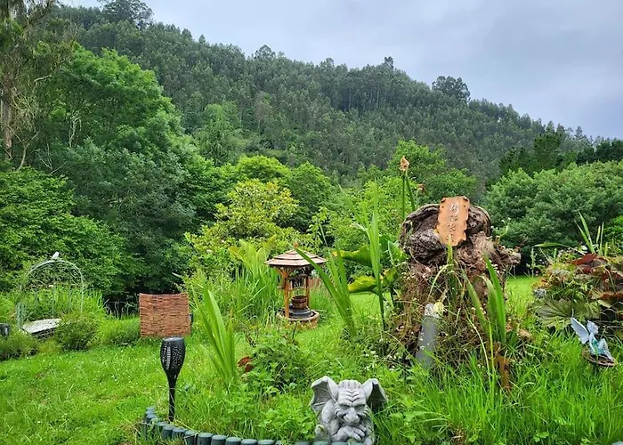 Disfruta De La Naturaleza En De Playa *
