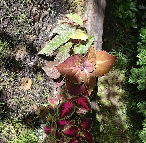펜션 Disfruta De La Naturaleza En De Playa Castiello de la Marina