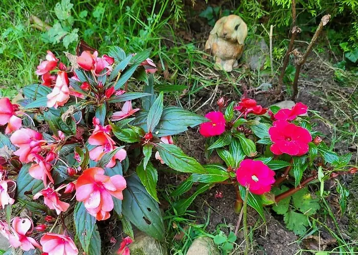 펜션 Disfruta De La Naturaleza En De Playa Castiello de la Marina