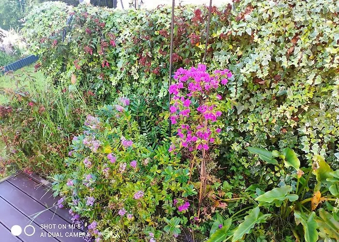 Disfruta De La Naturaleza En De Playa 펜션 Castiello de la Marina