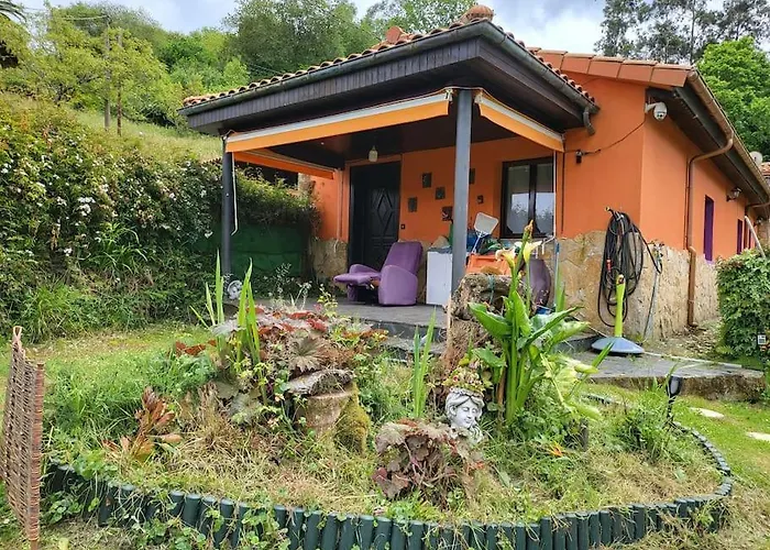 Disfruta De La Naturaleza En De Playa *