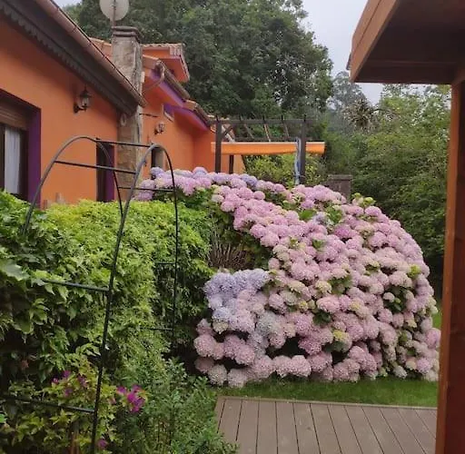 Disfruta De La Naturaleza En De Playa 펜션 Castiello de la Marina