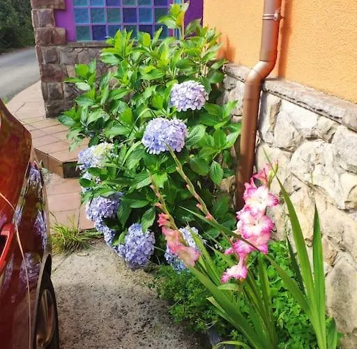 Disfruta De La Naturaleza En De Playa 펜션 *