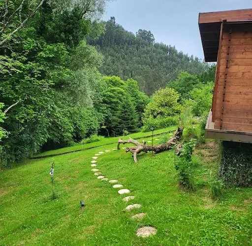 Disfruta De La Naturaleza En De Playa