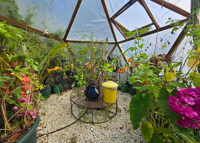 Disfruta De La Naturaleza En De Playa 펜션