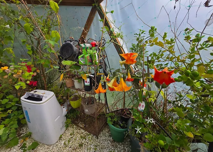 Disfruta De La Naturaleza En De Playa * Castiello de la Marina