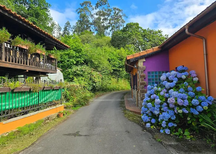 펜션 Disfruta De La Naturaleza En De Playa