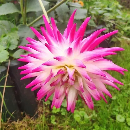 Disfruta De La Naturaleza En De Playa