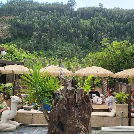 Hébergement de vacances Disfruta De La Naturaleza En De Playa *