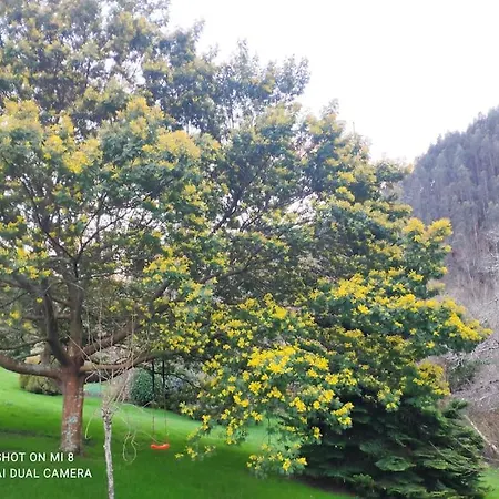 Disfruta De La Naturaleza En De Playa Hébergement de vacances *