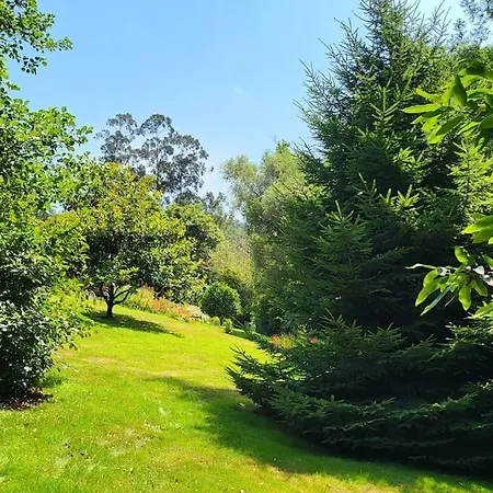 Disfruta De La Naturaleza En De Playa