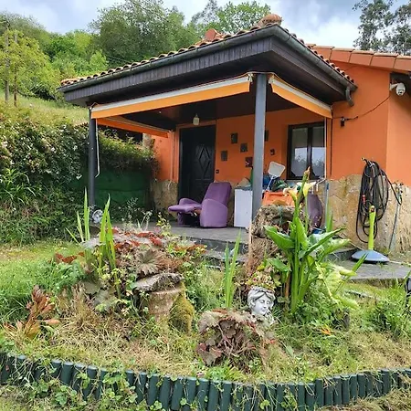 Disfruta De La Naturaleza En De Playa *