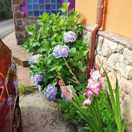 Disfruta De La Naturaleza En De Playa Hébergement de vacances *