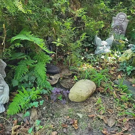 Disfruta De La Naturaleza En De Playa Castiello de la Marina