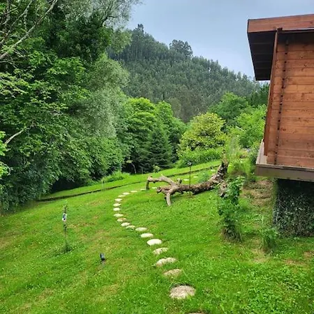 Disfruta De La Naturaleza En De Playa