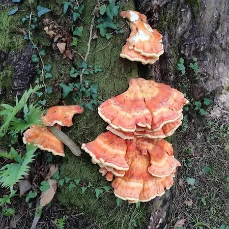 Disfruta De La Naturaleza En De Playa